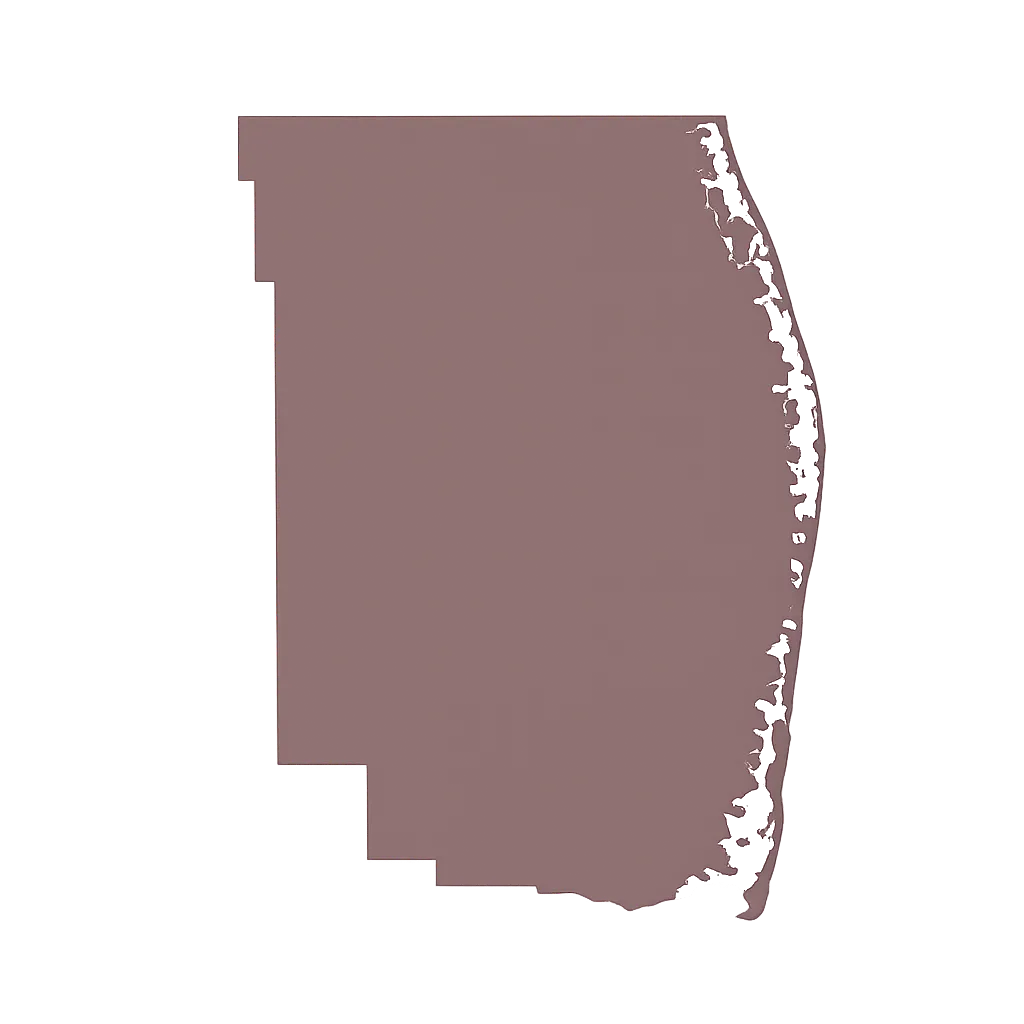 palm beach county icon