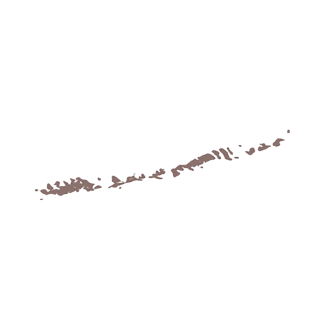 florida keys icon